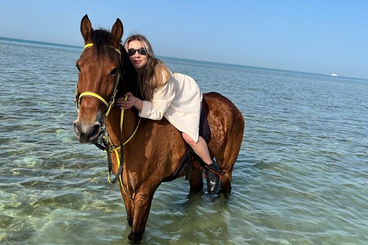 Horse Riding in Hurghada
