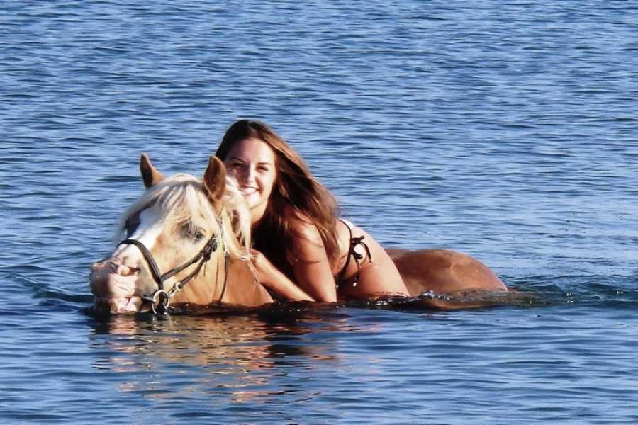 Horse Riding in Hurghada