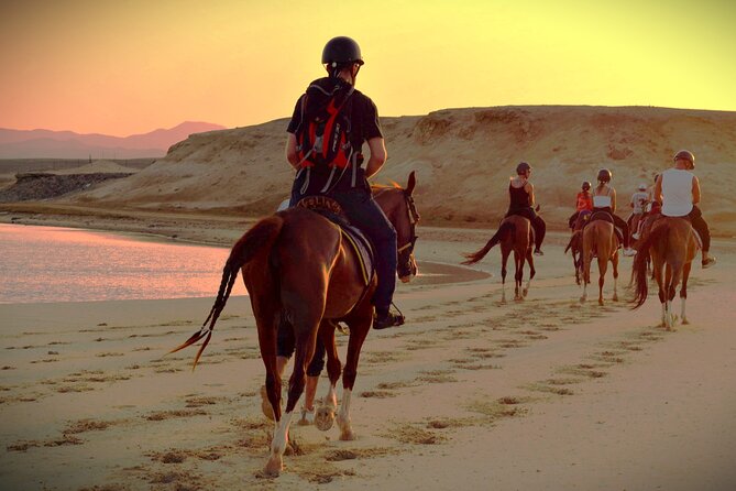 Horse Riding in Hurghada | Beach & Desert Horse Tour